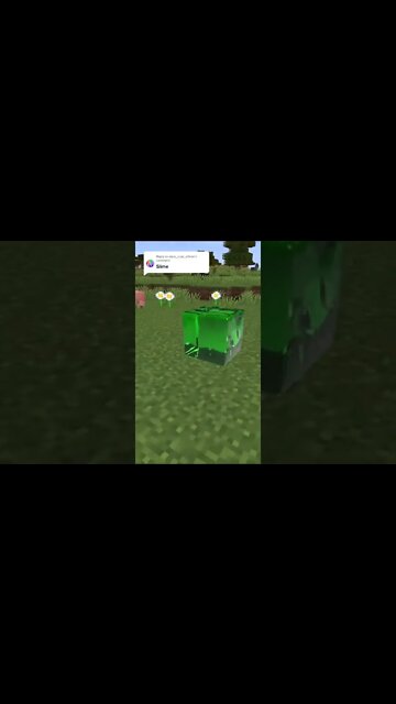 Minecraft #tiktok #Shorts