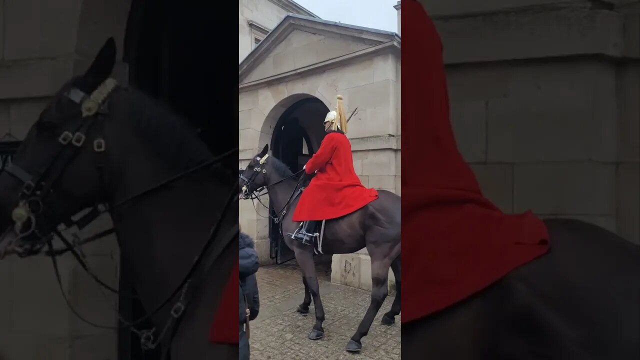 Horse spinning around slow motion #horseguardsparade