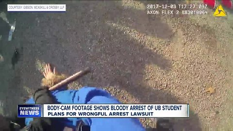 Violent arrest caught on camera