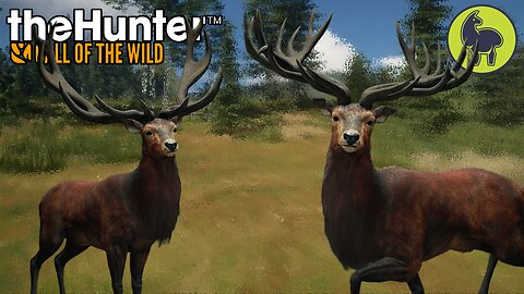 One is Plenty (red deer edition) Hunt Club Beta | theHunter: Call of the Wild (PS5 4K 60FPS)