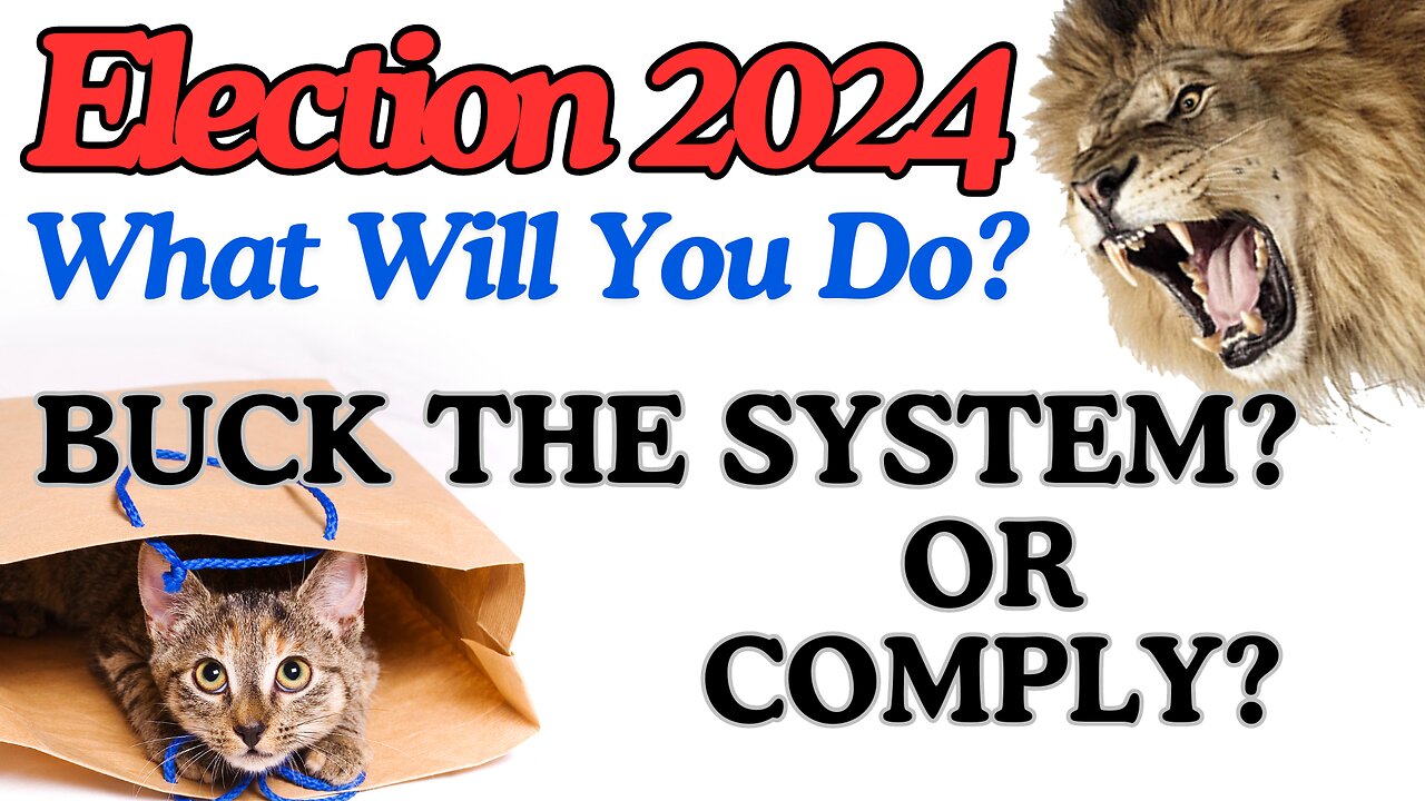 When It Comes To Election 2024 What Will You Do? Buck The System or Comply? WHAT YOU CAN'T UNSEE?