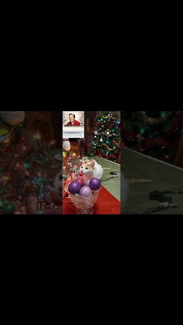 My favorite things...