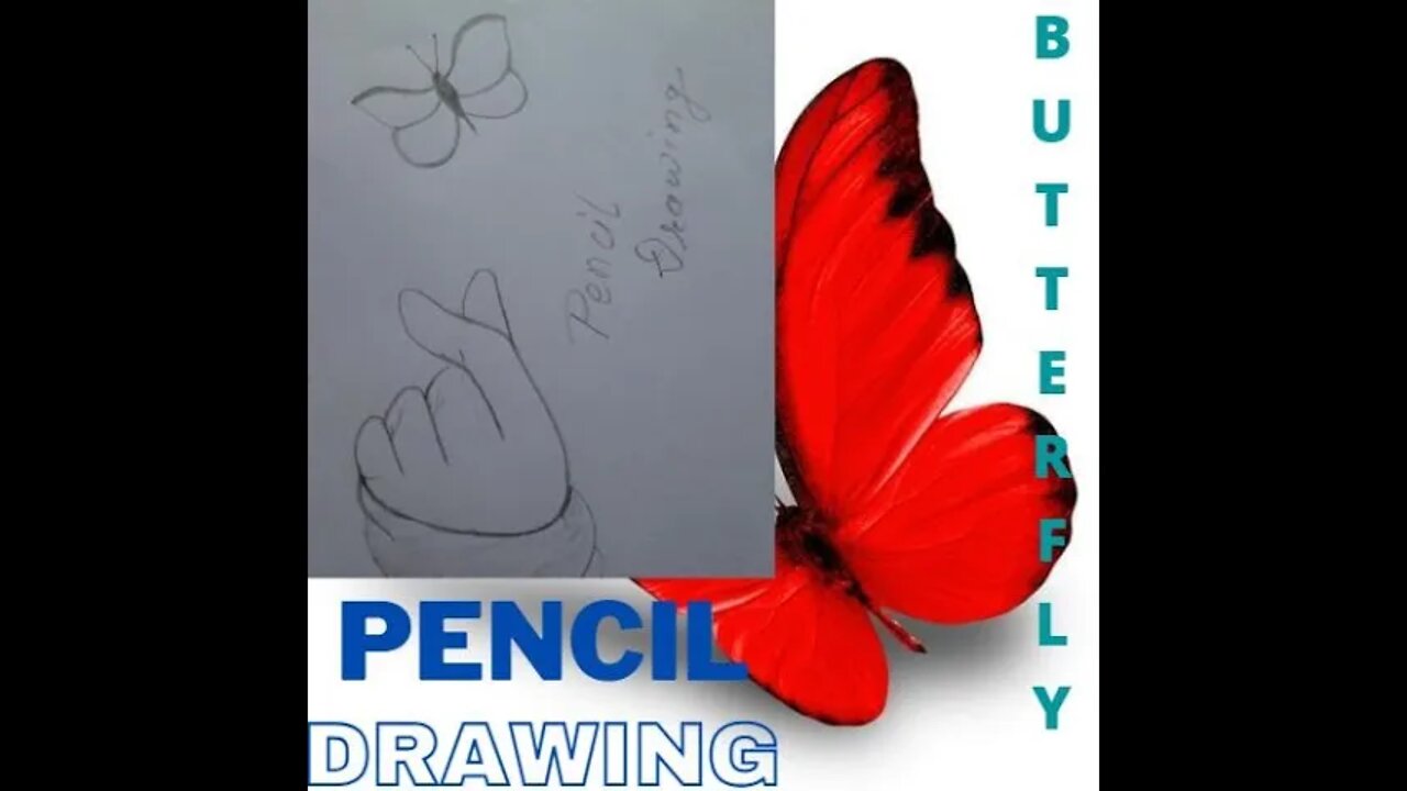 pencil drawing easy Butterfly (pencil drawing for beginner)#JEETRAJ #SUJAN OFFICIAL