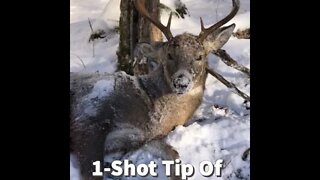 1-Shot Deer Hunting 2022: Deer Hunting Tip Of The Week, Public Land Pressure!