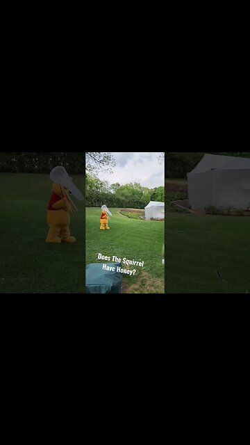Did This Squirrel Take Pooh's Honey 🤔