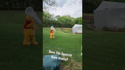 Did This Squirrel Take Pooh's Honey 🤔