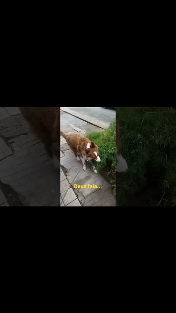 Calma... e um Bom Fim de Semana com Deus! #shorts #Deus