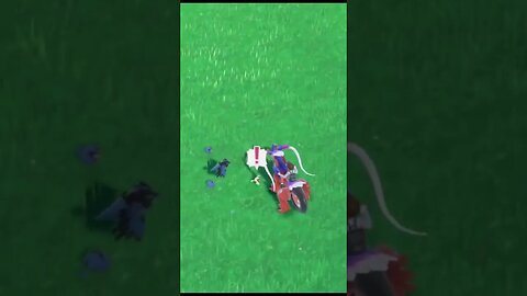 Shiny Rookidee Surprised Me in the Wild