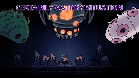 Quite The Situation Isn't it? Hollow Knight Funny Moments