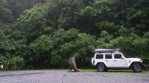 A wet tent in a rainstorm! I spent sweet time alone in the downpourcamping in the rainstormcamping V