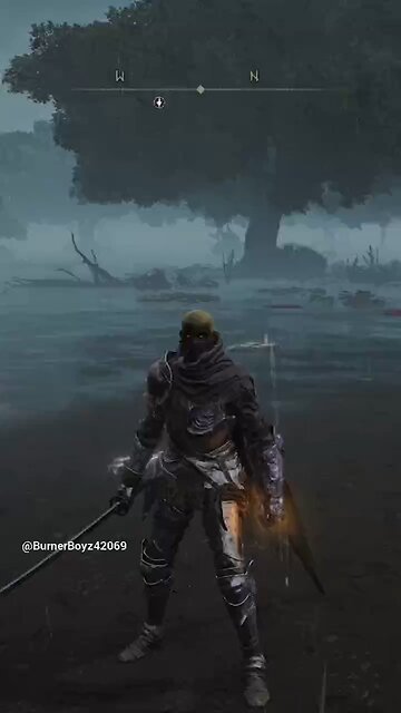 Knocking a dumb idiot out of the air again in Elden Ring