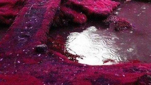 Iraq Dinar will be worth more than the US dollar...