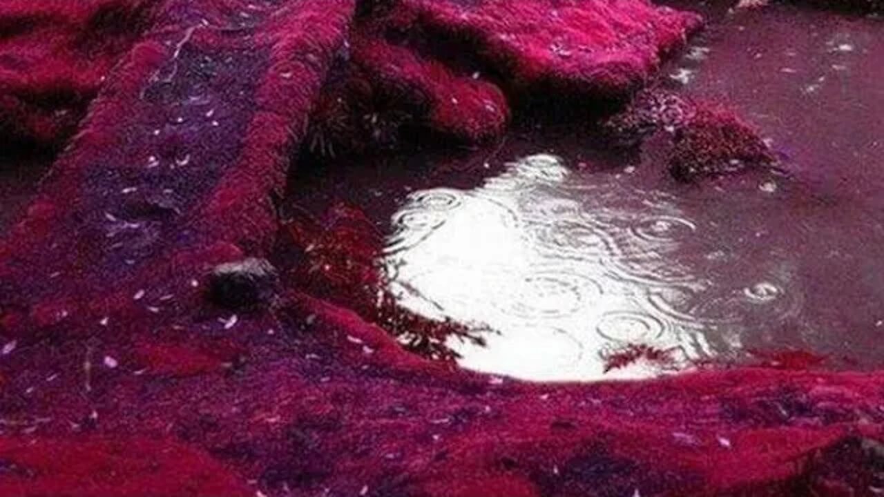 Iraq Dinar will be worth more than the US dollar...