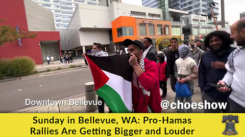 Sunday in Bellevue, WA: Pro-Hamas Rallies Are Getting Bigger and Louder