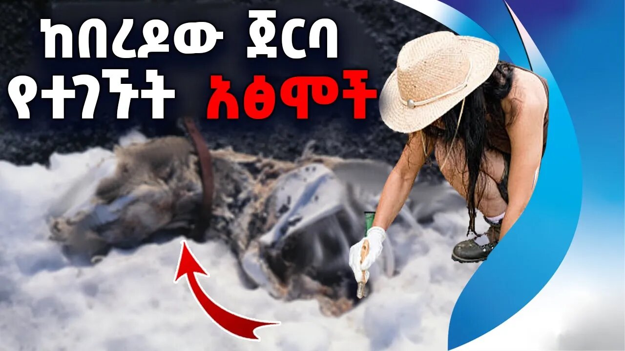 ከበረዶው ጀርባ የተገኙት አፅ*ሞች | Arctic | Archeology | Ancient | Treasure | Base | Scientist