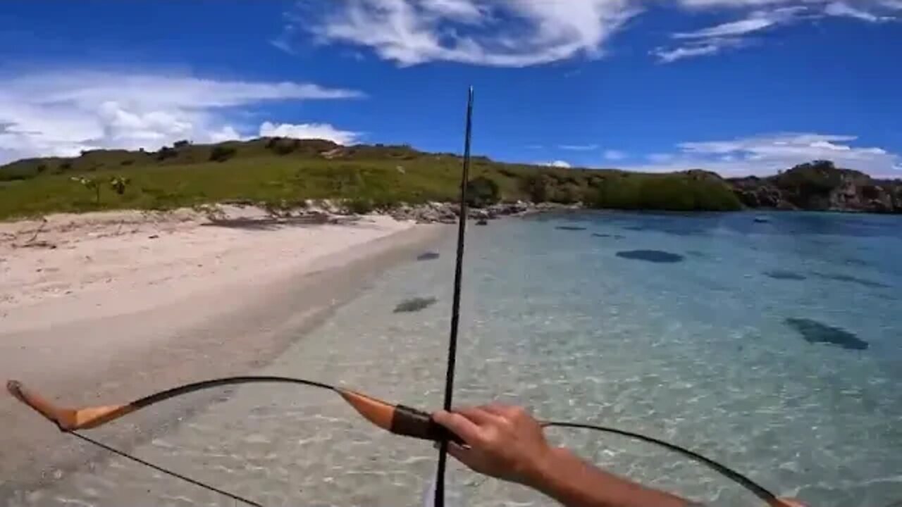 BOWFISHING Survival Catch n Cook Hunting Sharks