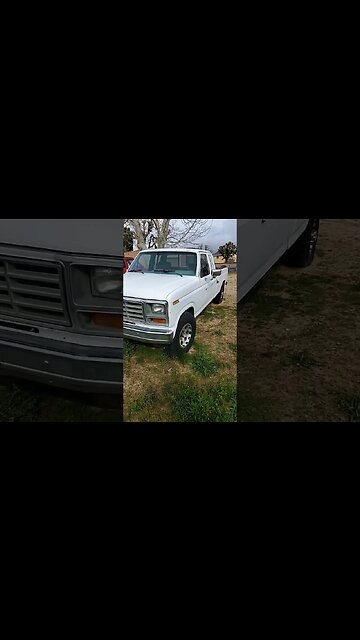 Ford F series trucks, 1986 F-250 #short #shorts #shortsvideo #shortvideo #shortsfeed