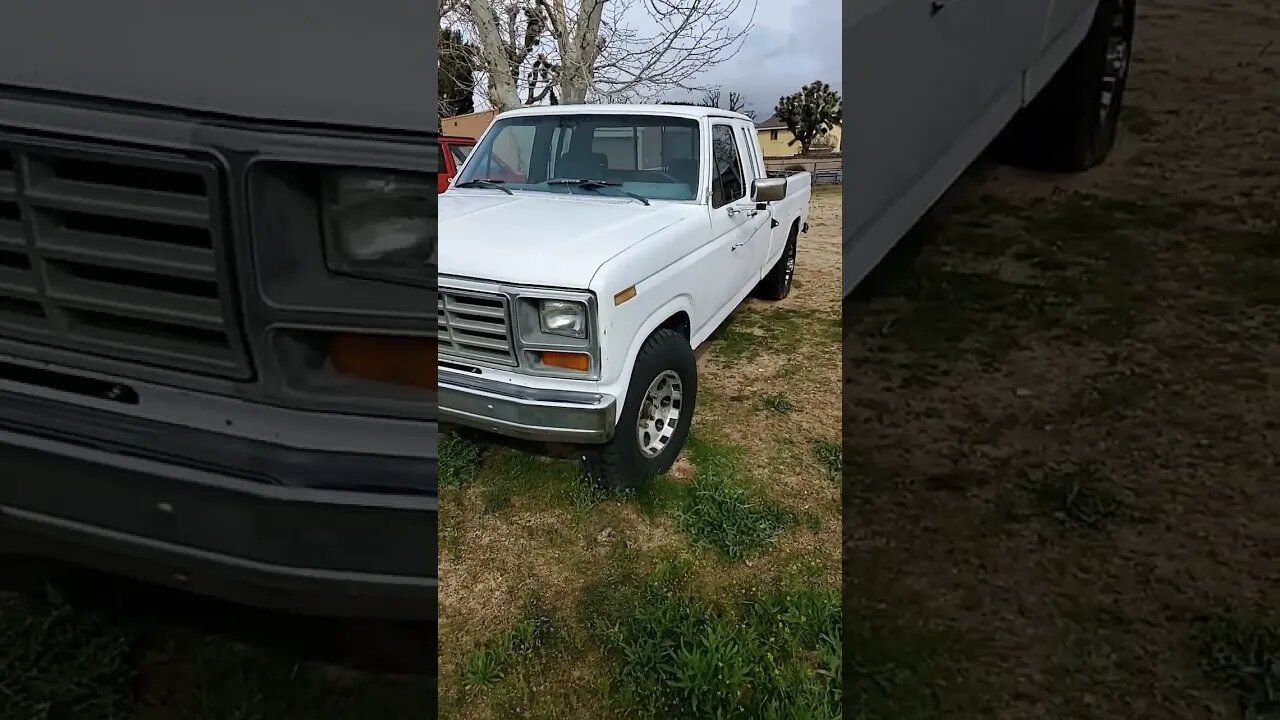 Ford F series trucks, 1986 F-250 #short #shorts #shortsvideo #shortvideo #shortsfeed