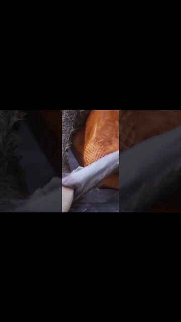 Antler Asymmetry #deer #deerhunting #hunting #biology #shorts