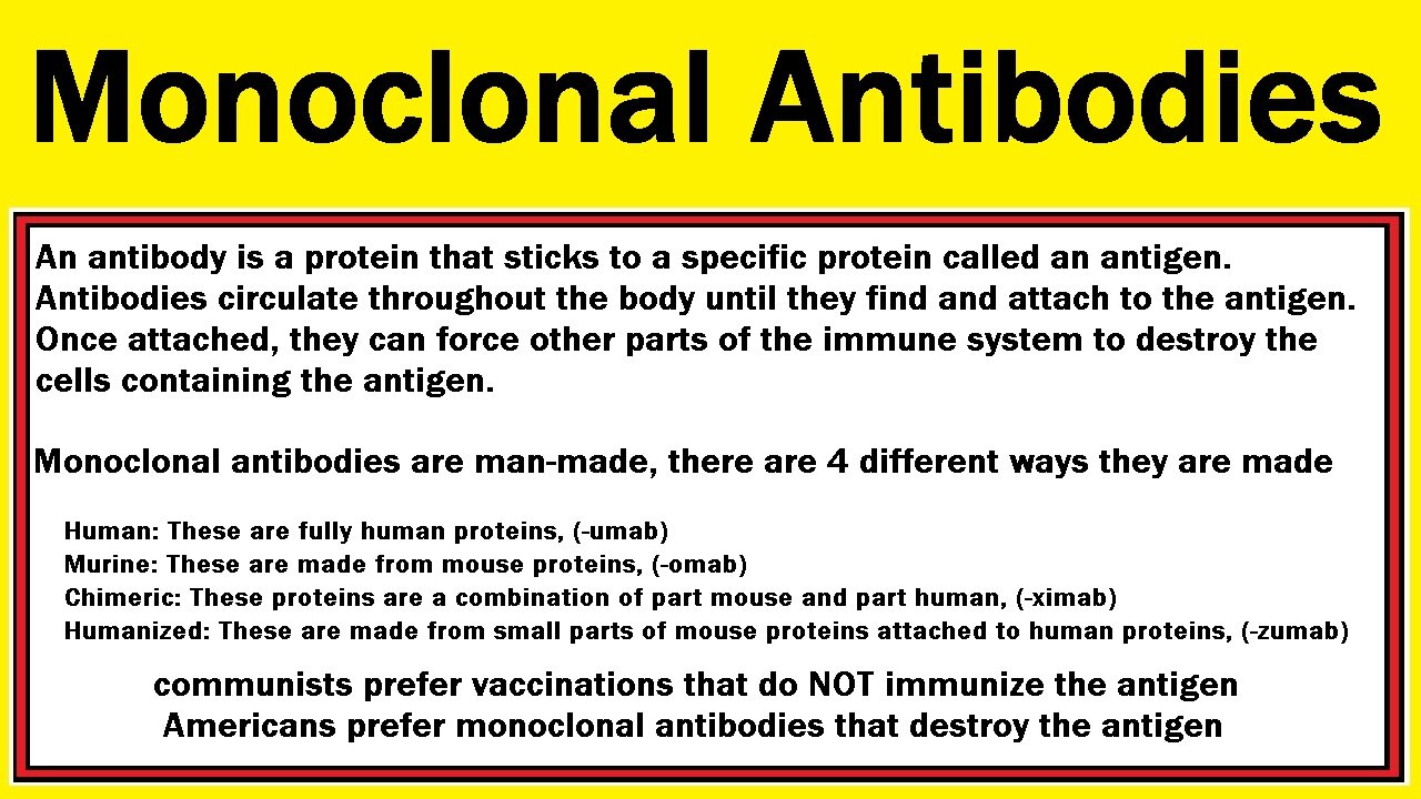 Monoclonal Anti Bodies