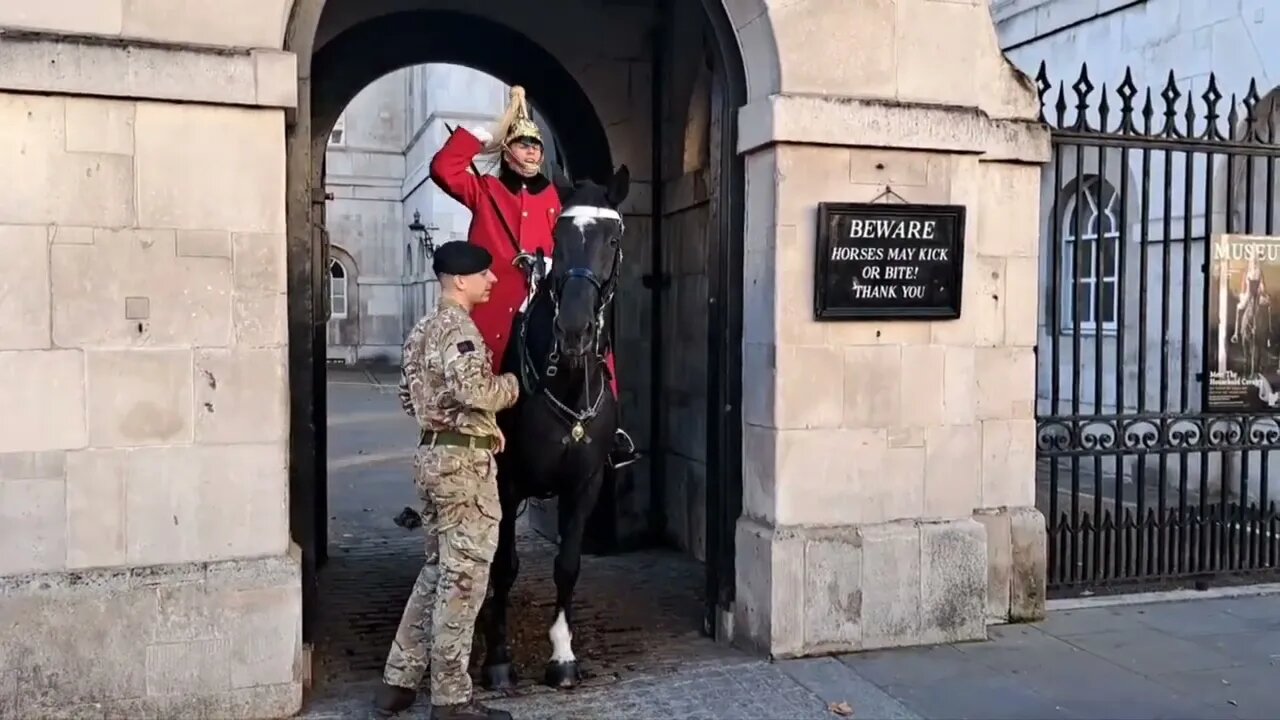 3 times the Horse feaked out #horseguardsparade