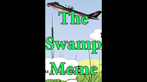 The Swamp meme