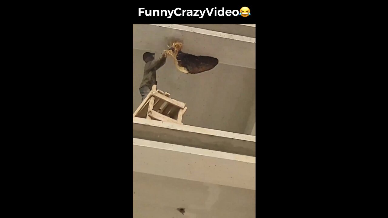 Mr FunnyCrazyVideo😂 Just Incredible Video Funny and Crazy #Like Follow for Follow 🥰