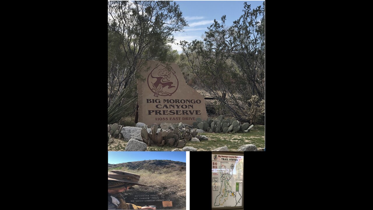 Solo hike in a wildlife Preserve Big Morongo Canyon