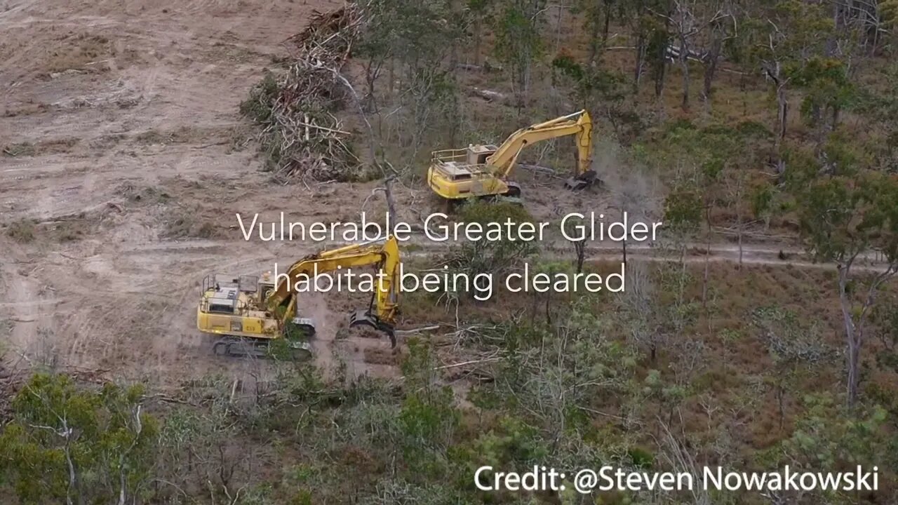 Behold So-called "Green" Energy Killing the Environment!