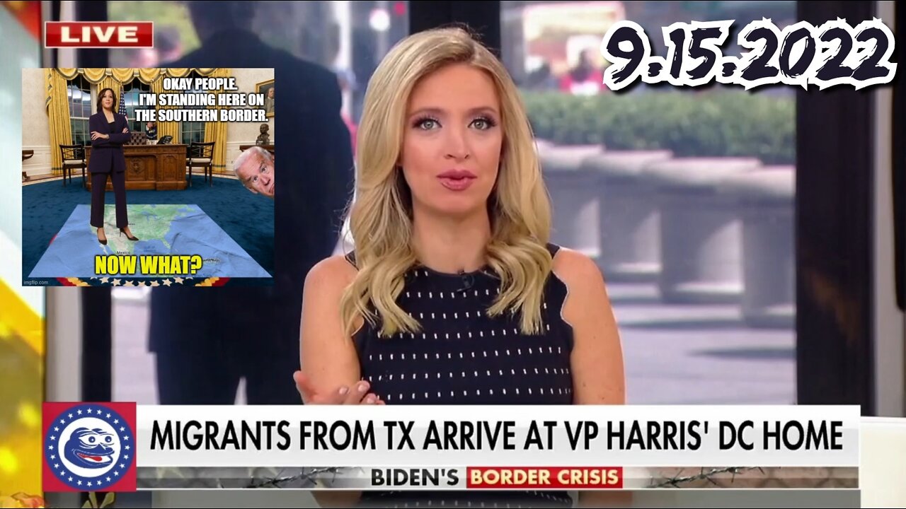 Kayleigh McEnany on Democrats reaction to the transportation of migrants