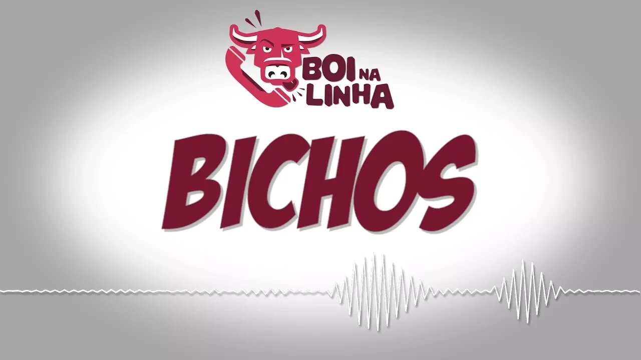 Boi na linha: Bichos