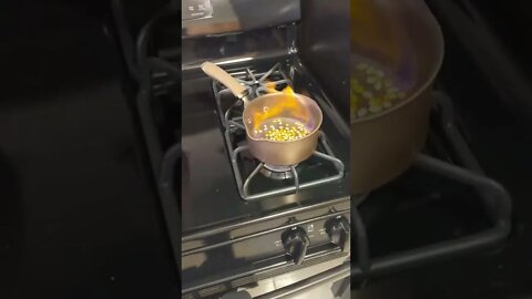 Popping Kernels not being used for Terebelo Bourbon