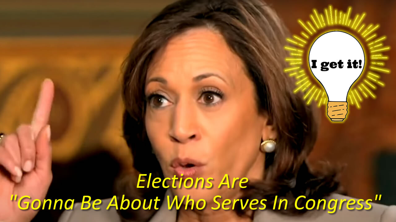 Kamala Harris: Elections Are "Gonna Be About Who Serves In Congress"