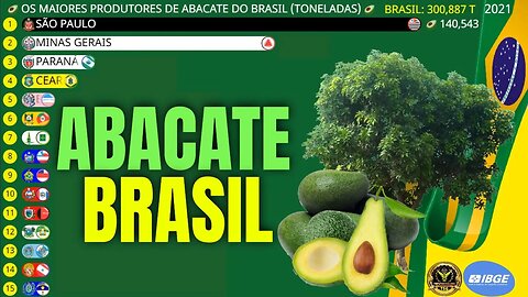 Os Maiores Produtores de Abacate do Brasil