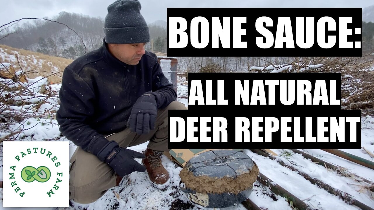 Bone Sauce // Best Natural Deer Repellent