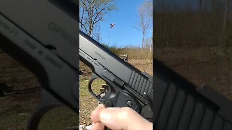 Windy range #shortsvideo #.45 #girsan #1shotstrange