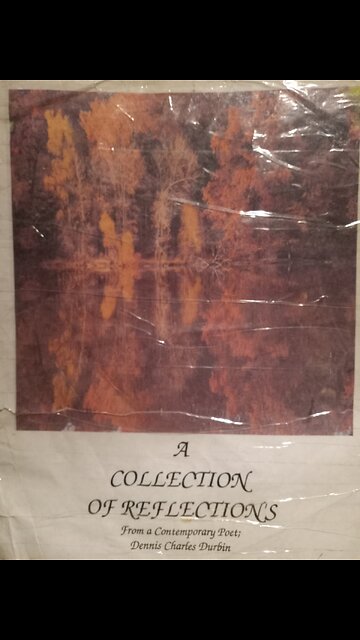 Vulchers In The Night