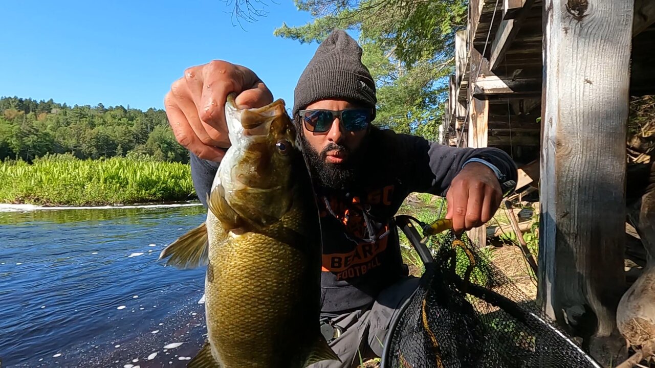 Short: Michigan UP Smallie Takes Flight