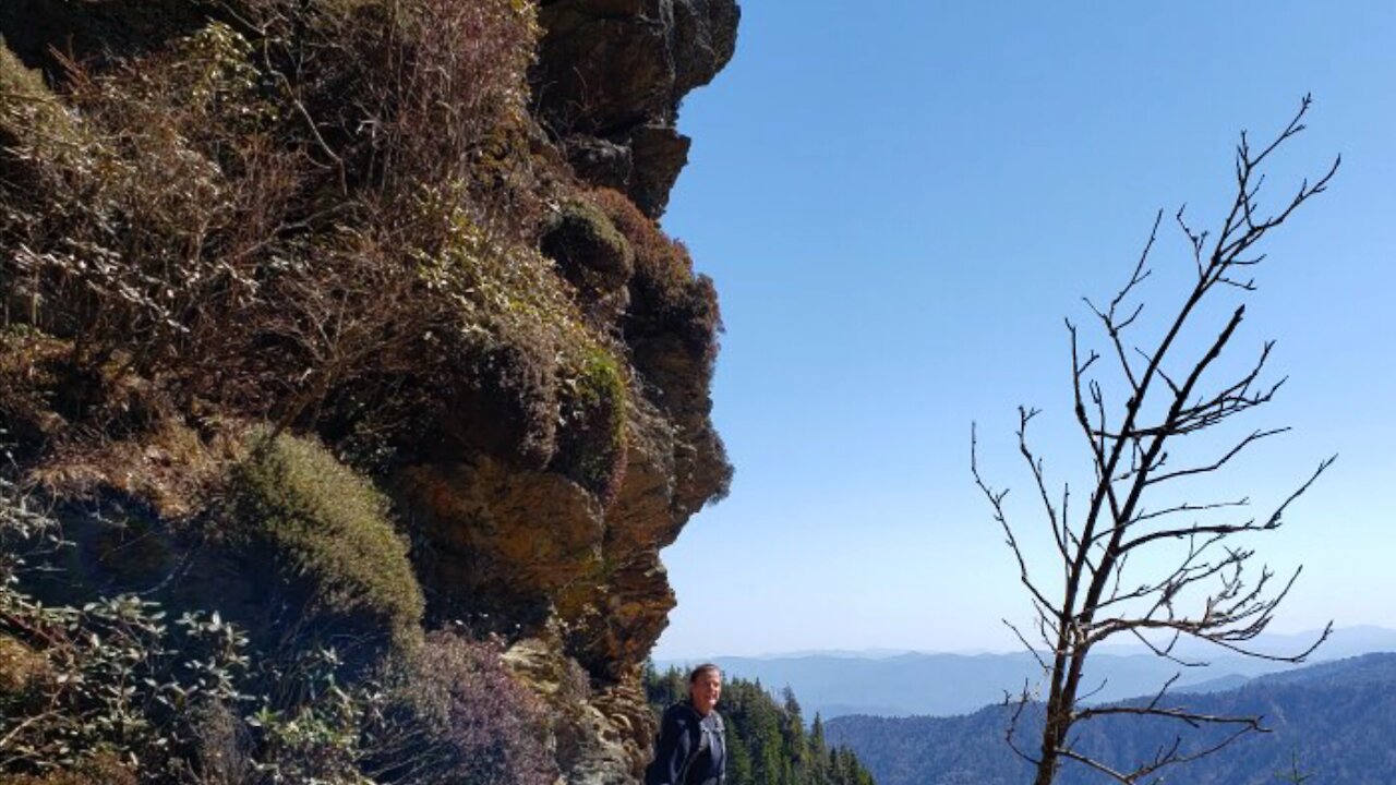 Hiking in the smoky mountains, Mount Leconte