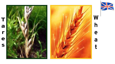 2022.03.20-Eliseo.Bonanno-TARES AND WHEAT, THE TARES WILL BURN IN THE GEENNA