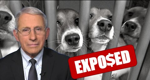 Fauci is still doing this and using our tax dollars abuse needs to stop now