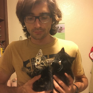 Foster kittens want their breakfast!