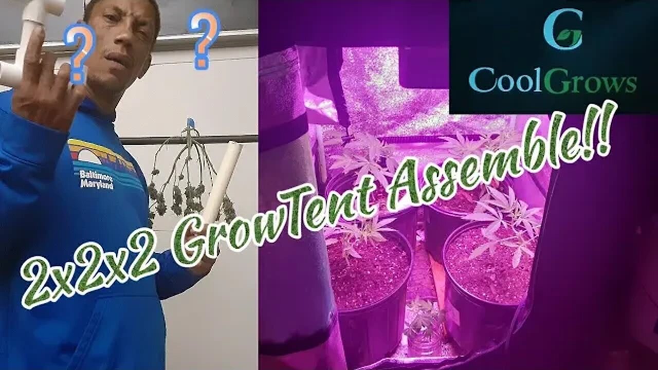 CoolGrows Growtent Set up (2x2x2 for Hiding in Plain Sight!) Like a Botany Mini Fridge!