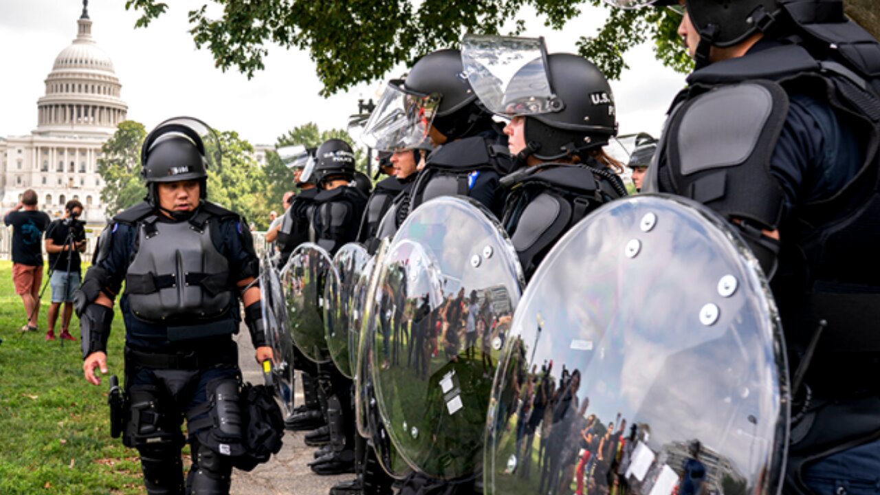 March of the Mutant Ninja Capitol Cops