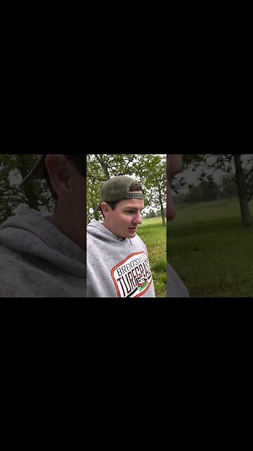 Poison Hemlock Plant