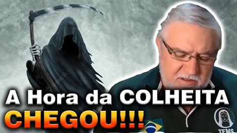 A HORA DA COLHEITA CHEGOU, AS CHANCES ESTÃO ACABANDO