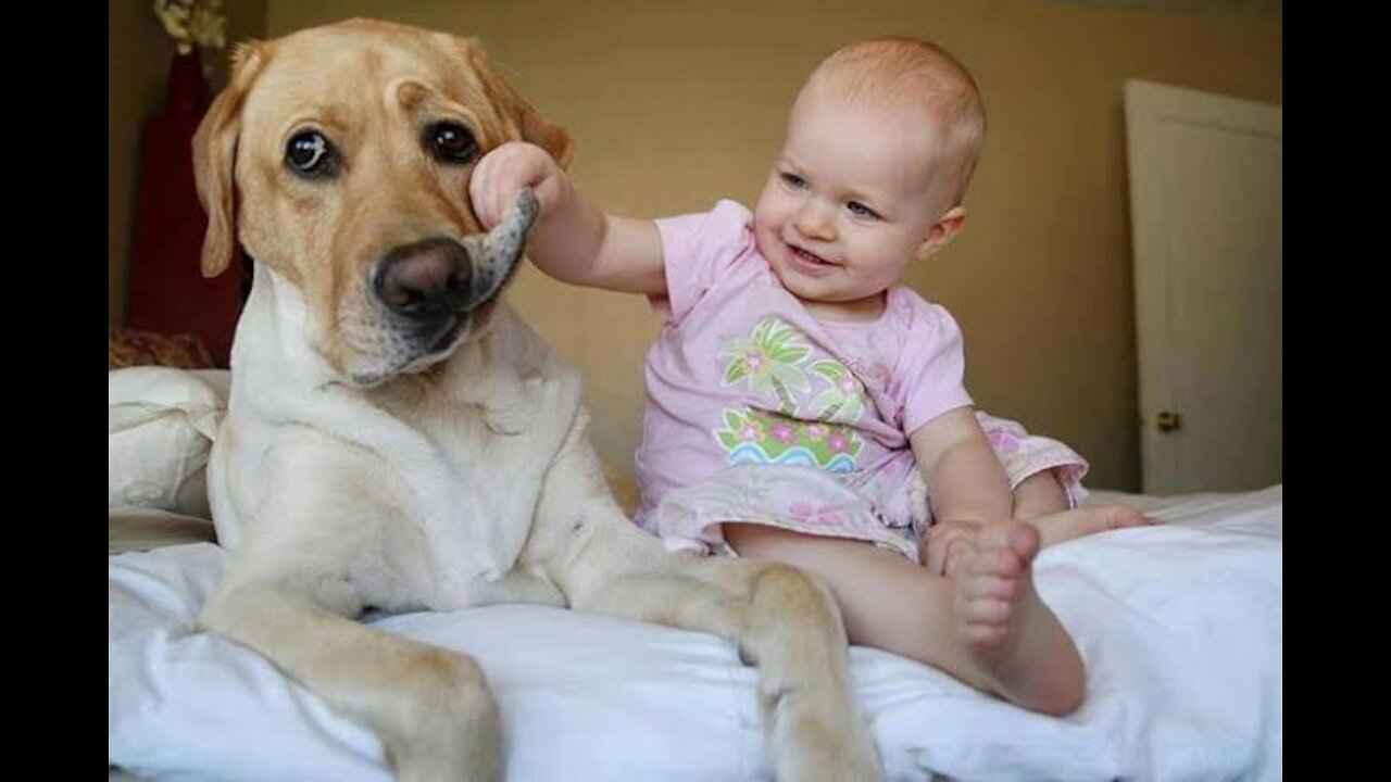 Cute babies and dogs are the best friends.😍