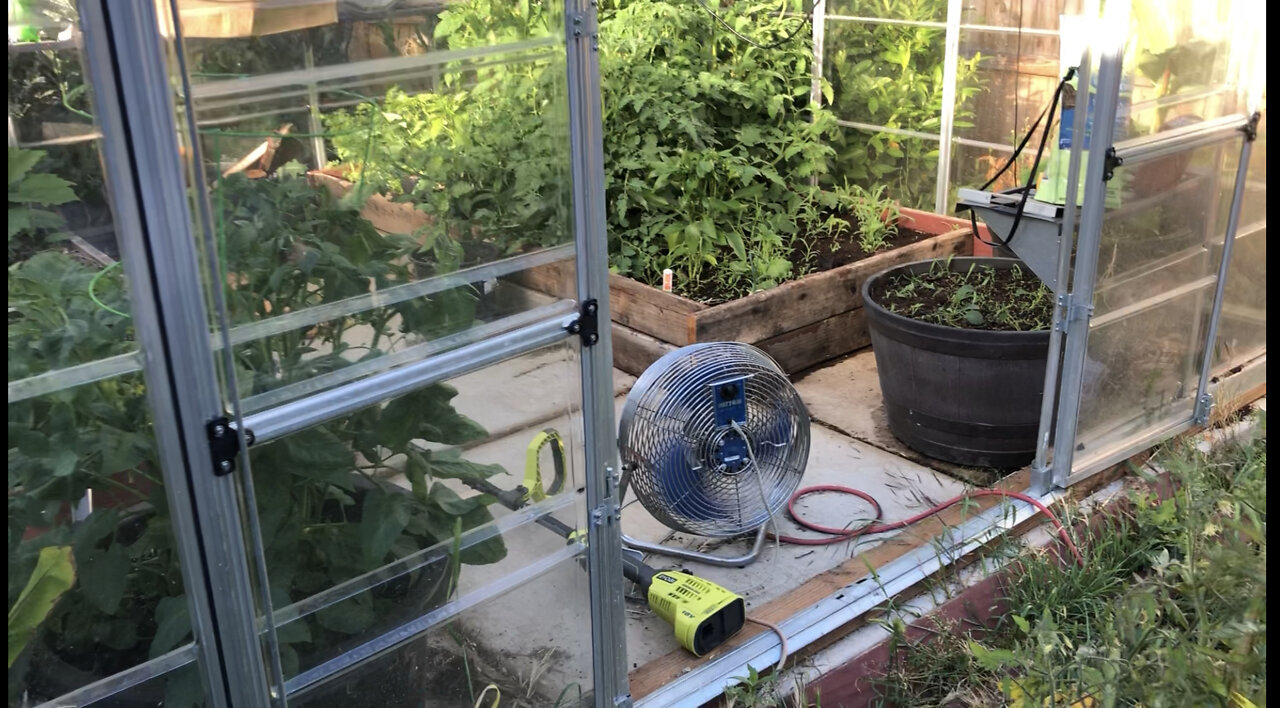 Video 5: Greenhouse Tactics