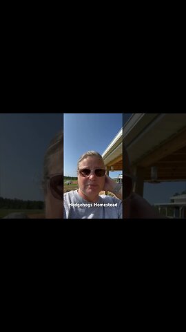 ￼ praying mantis, eat hummingbirds #hummingbird #hedgehogshomestead #prayingmantis