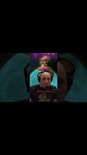 Joe Rogan's Theory that mushrooms are from outer space and that they caused human evolution #shorts